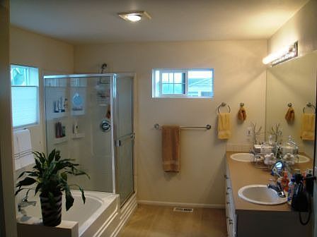 Master bath w/soaking tub