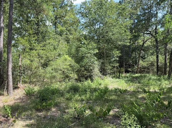 24805 Nottingham Cir, Hockley, TX 77447