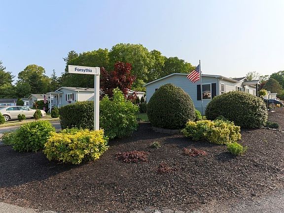 5th image of 2 Forsythia Ln