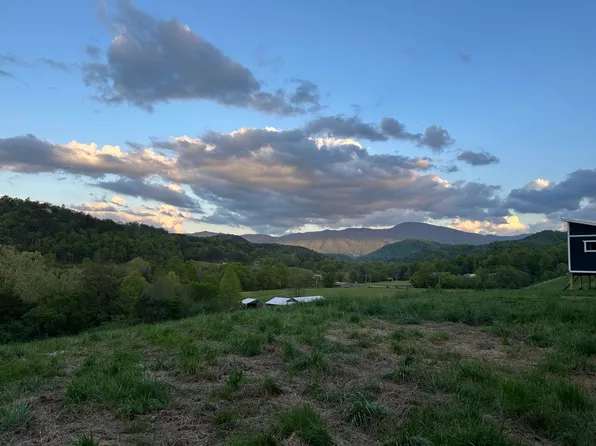 367 Catnip Rd, Del Rio, TN 37727