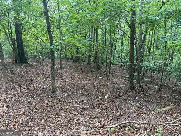 140 Joe Green Ln, Canton, GA 30114