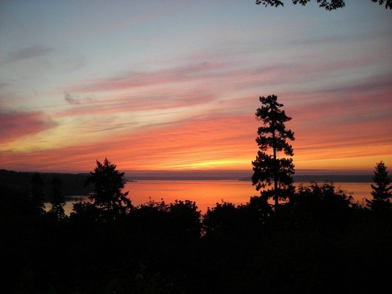 Spectacular Sunset Views - From Tacoma to the Olympics - No rooftops, no neighbors.
