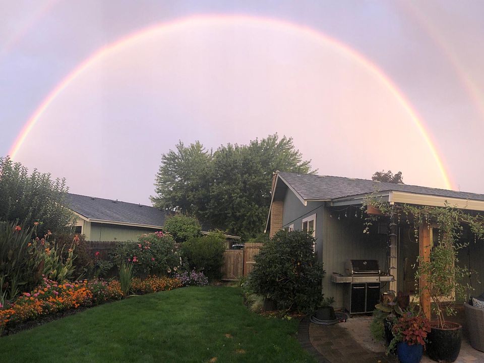 Backyard.