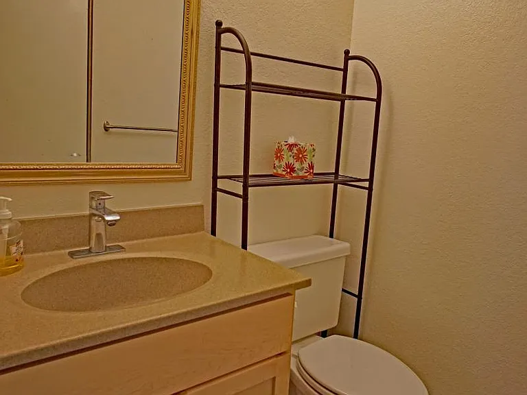 Full downstairs Bathroom with shower