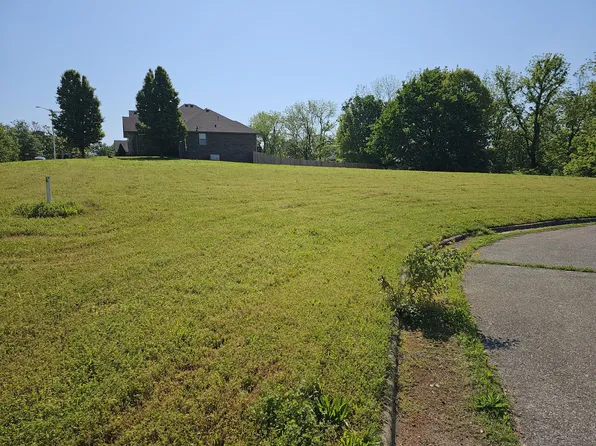 Lot 11 Fox Haven Drive, Mt Vernon, MO 65712