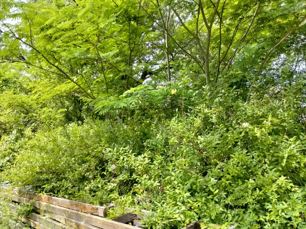 0 Bell Cir, White Bluff, TN 37187