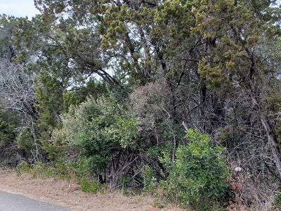 LOT 210 Tba LOT 210, Pipe Creek, TX, 78063
