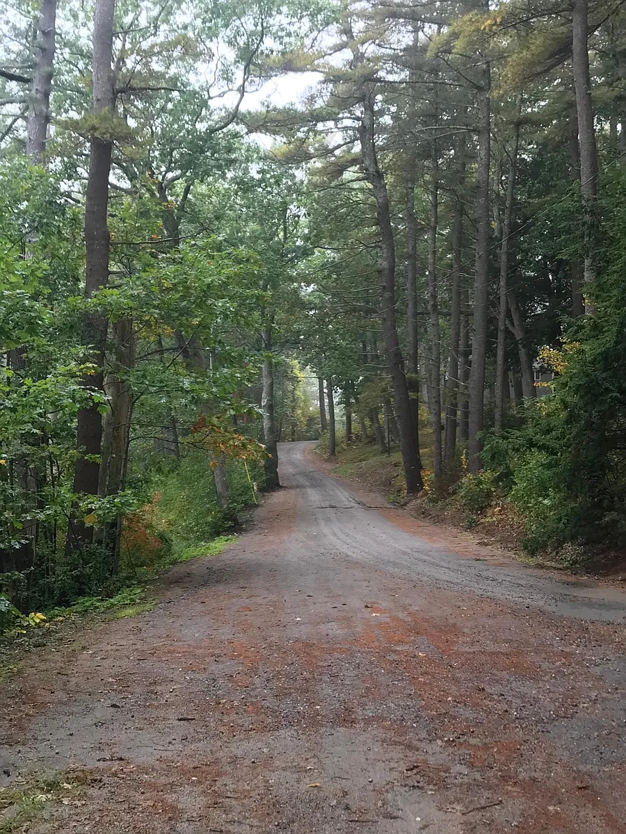 Building Photo - Bull Rock Rd
