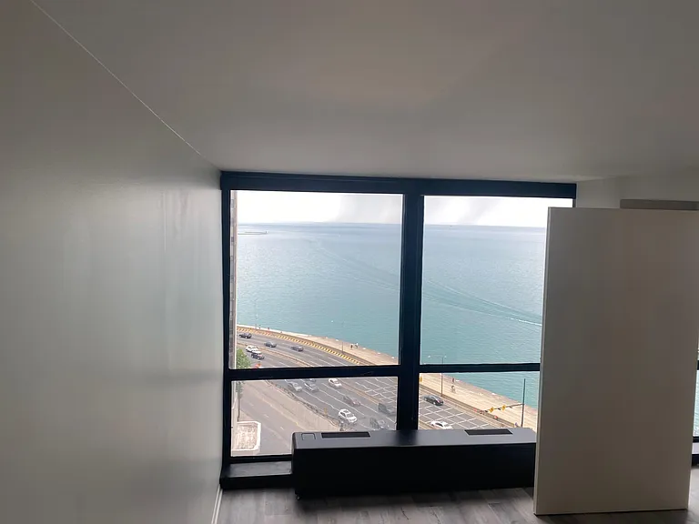 900 N Lake Shore Dr #14091411 — Photo 6