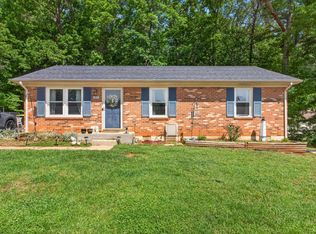 203 Odins Bow Rd, Madison Heights, VA 24572