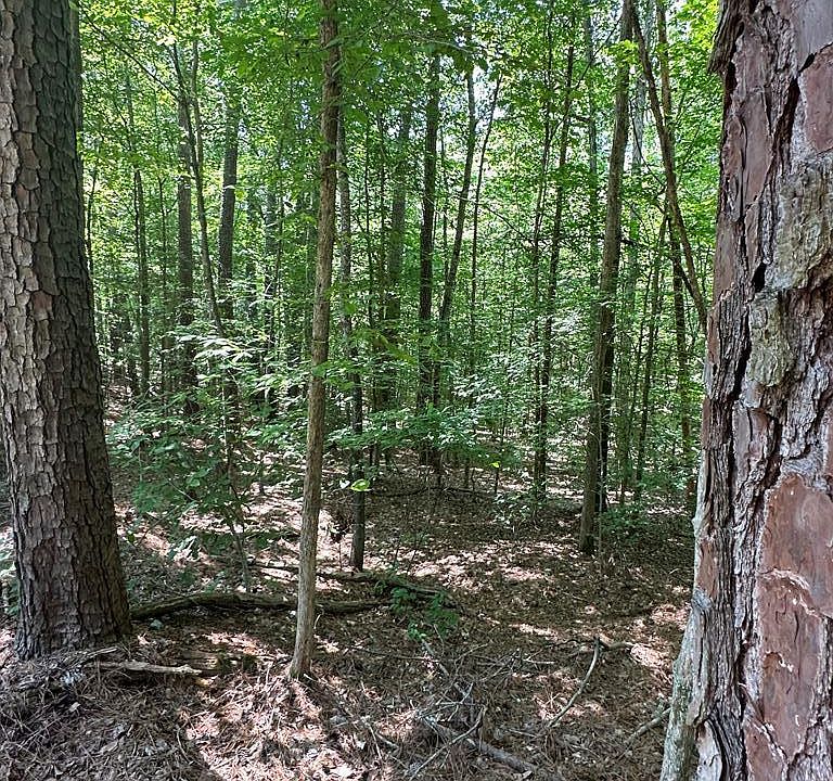 0 Waynes Ct, Bracey, VA 23919 MLS 131350 Zillow