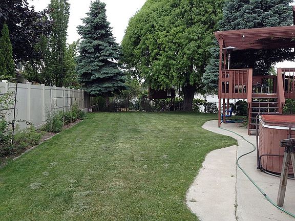back yard
