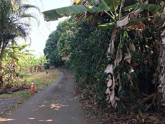 3rd image of Kawanui Pl Lot 2
