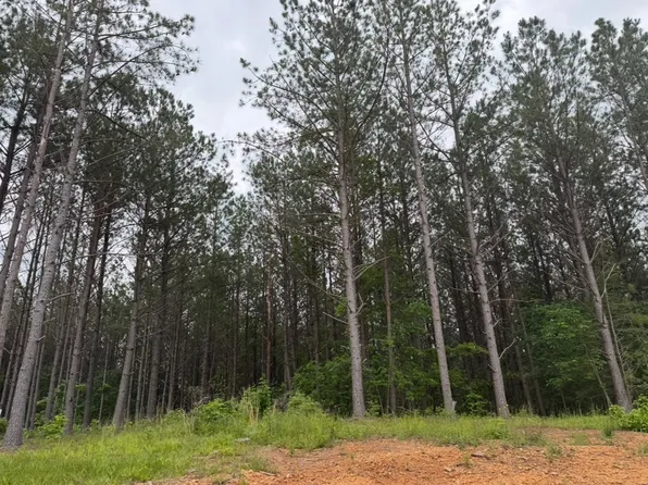 119 Auburn Dr Lot 72, Hohenwald, TN 38462