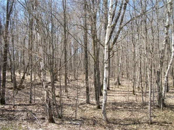 LOTS 26 & 29 Loch Lomond Boulevard, Birchwood, WI 54817