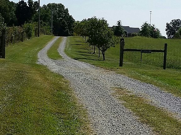 Long Drive Lined With Trees!
