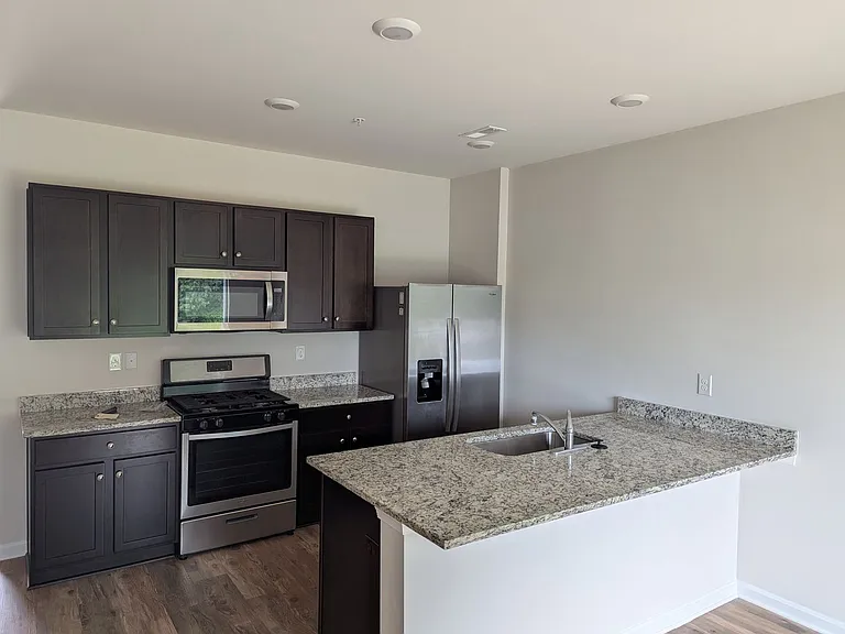 335 Locust Run Dr — Photo 5