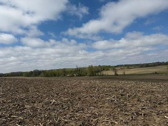 5th image of Madison Rd #2