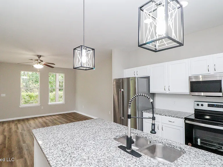 473 Olive Branch Way — Photo 3