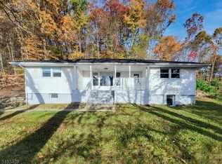 45 Goldmine Rd, Budd Lake, NJ 07828