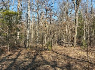 V/l James St, Wellston, MI 49689