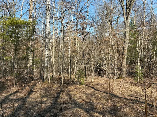 James St, Wellston, MI 49689