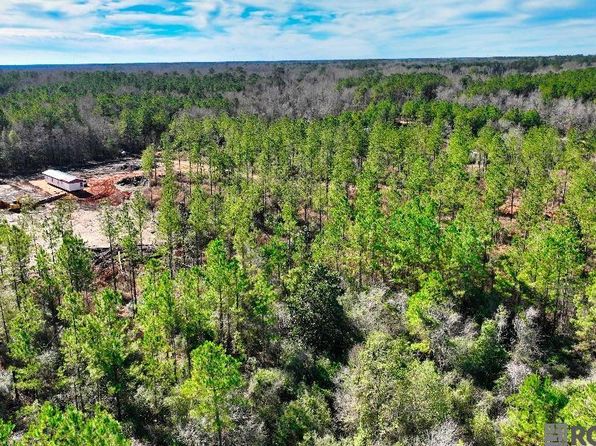 24000 Leora Williams Ln, Mount Hermon, LA 70450