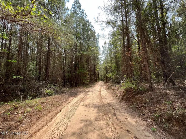 503 Highway, Hickory, MS 39332