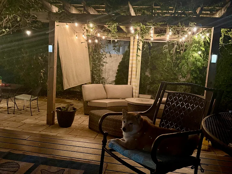 331 Richmond Ave — Photo 30