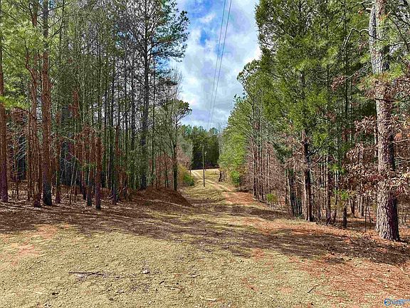 5th image of 8318 State Highway 35