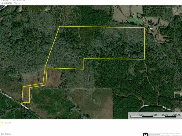 Dido Loop Lot Wp003, Pitkin, LA 70656