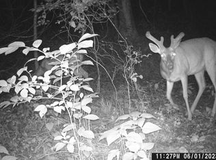 1864 Globe Rd, Lewisburg, TN 37091