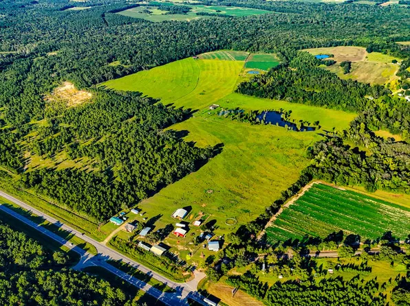 12407 S Us Highway 231, Cottonwood, AL 36320