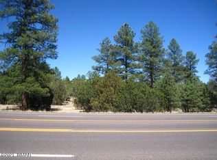 2081 Forest Park Dr, Overgaard, AZ 85933
