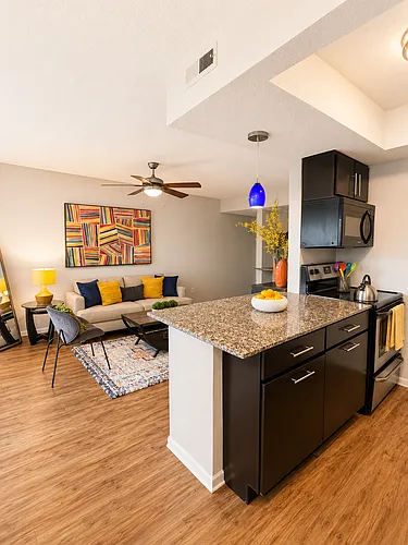 Element Austin Apartments Photo 1