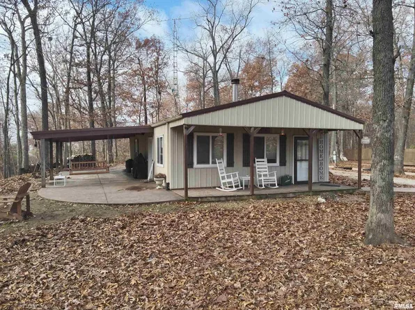 19650 N Pisque Ln, Woodlawn, IL 62898