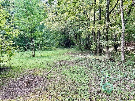 4th image of 1 Mount Hebron Rd