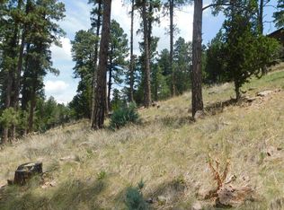 208 Timberline Dr, Ruidoso, NM 88345