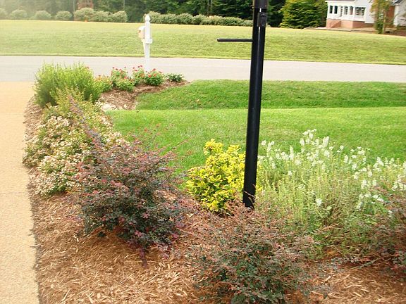 Front Yard