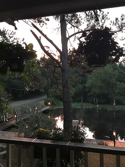 Gorgeous view from the porch
