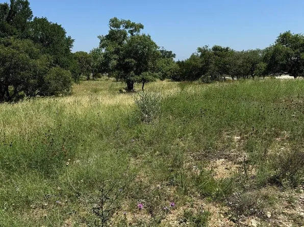 4602 FM 1107, Tract 1 LOT 16E, Stockdale, TX 78160