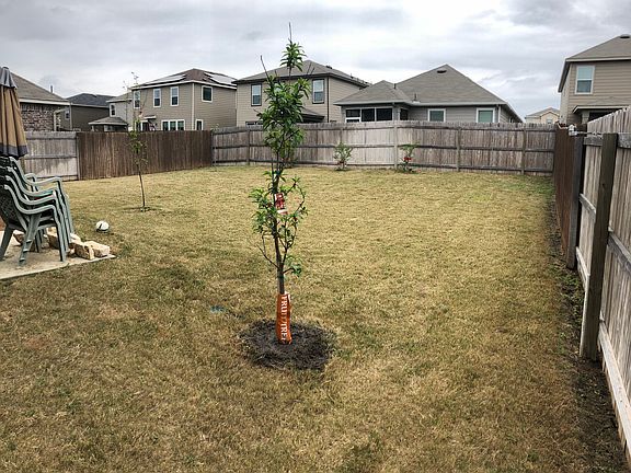 Good sized back yard