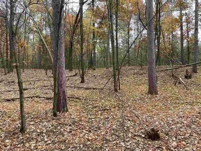 Townline Rd, Wisconsin Rapids, WI, 54494