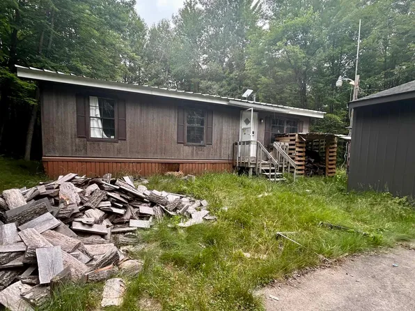 11173 N Lakeside Trl, Shepherd, MI 48883