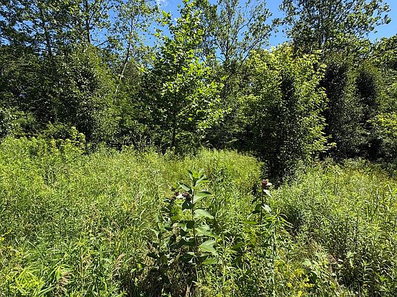 5th image of 0 W Tilden Rd