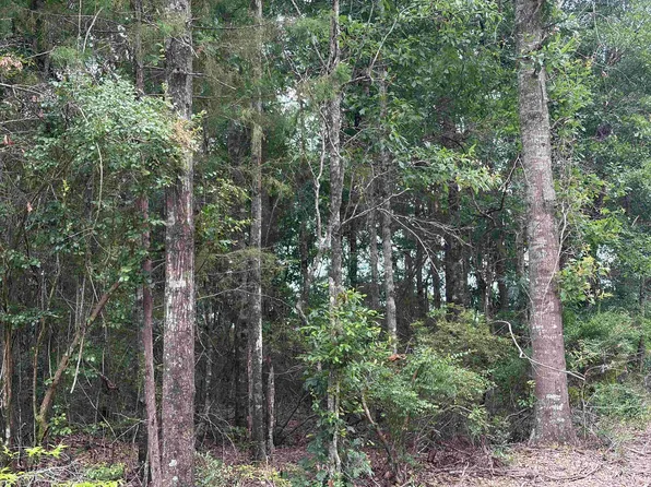 0 State Highway 84, Andalusia, AL 36420
