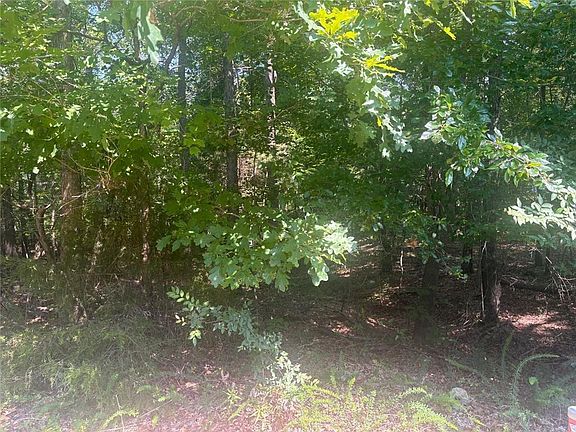 3rd image of 13 Jewell Dr SE #2