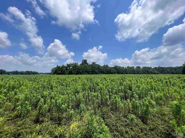 3900 Blk Ashcraft Rd, Century, FL 32535