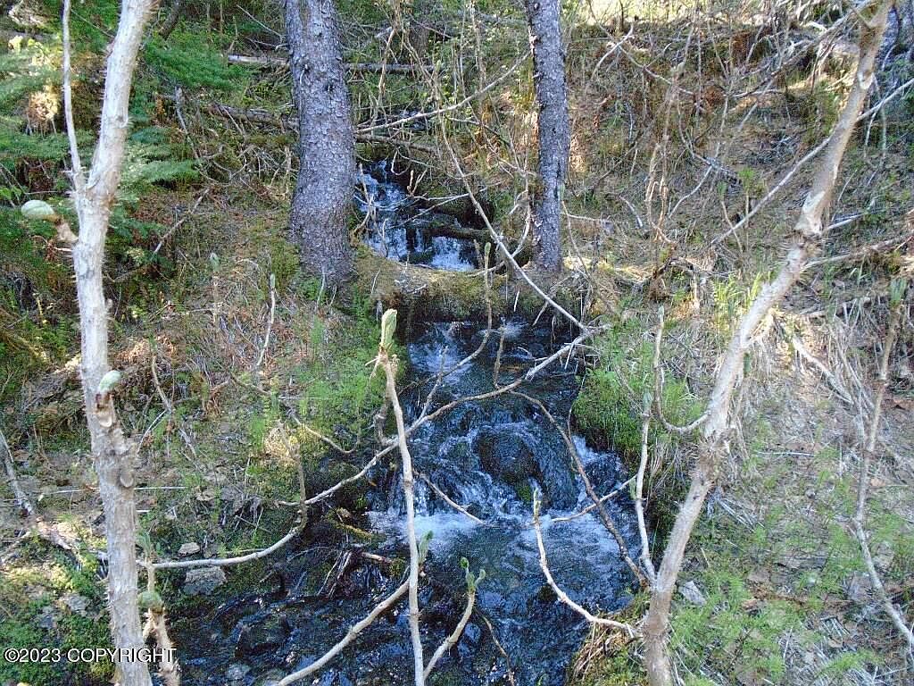 27881 Hope Hwy, Hope, AK 99605 MLS 23622 Zillow