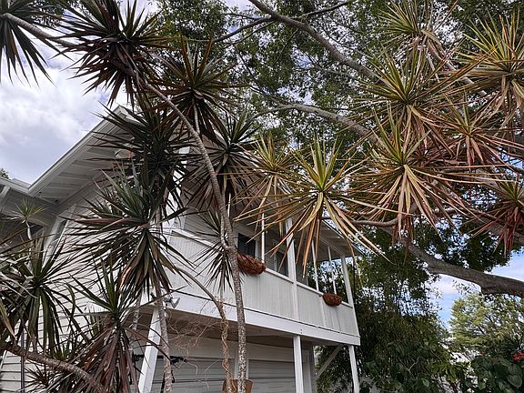Private back deck